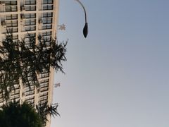-西南政法大学(沙坪坝校区)
