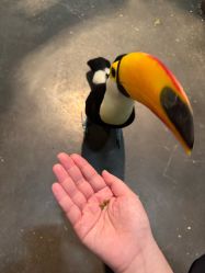 -Zoolung Zoolung动物主题公园(海信广场店)