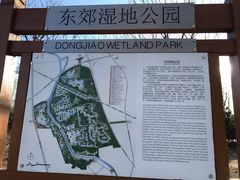 -东郊湿地公园