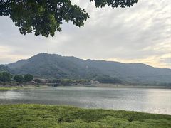 -风云岭森林公园