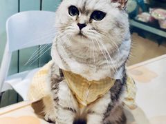 -小时光咖啡馆(北锣鼓巷店)