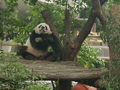 -成都动物园