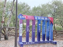 -楠溪江石桅岩