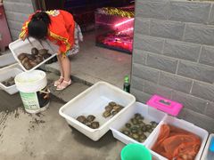 -秦美花卉(天朗·莱茵小城2期店)