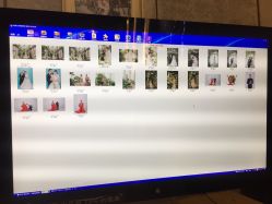 -鱼映像摄影·珍藏级影像品牌