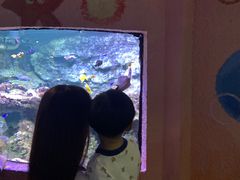 -台州海洋世界