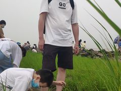 -南汇嘴观海公园