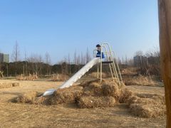 -长田漾湿地公园