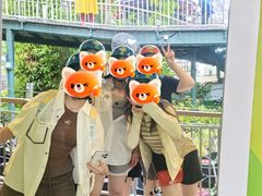 -圣淘沙天际线斜坡滑车