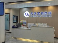 -贝康宠物医院·犬猫全科·小动物特色诊疗中心(东环路店)