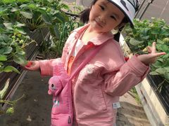 -甜心庄园·甜心草莓采摘园(西青中北店)