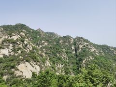 -大岭沟猕猴桃谷风景区
