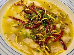老坛酸菜鱼-乾园(天河城店)