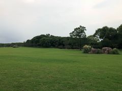 -昆山城市生态森林公园