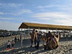 -库伦旗银沙湾旅游景区