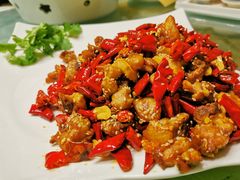 新派辣子鸡-伊兰麒兰馨园·川菜·清真馆(339电视塔店)