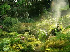 -Chom Cafe and Restaurant