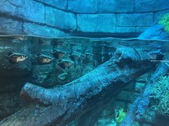 -沈阳海洋探索中心