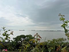 -上海滨江森林公园