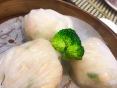 -新兴·金羊座·粤菜点心(乐峰店)