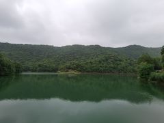 -桃花岭景区