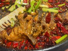 -老板恋上鱼(高新万达店)