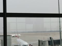 -青岛胶东国际机场