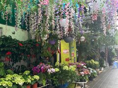 -溪岸路花鸟市场