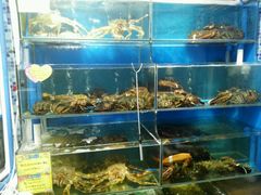 -蚝专家(北滘店)