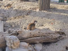 -北京野生动物园