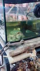 -周忆刺青原创设计定制