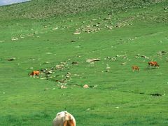 -克什克腾世界地质公园青山景区