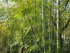 -天目湖涵田度假村