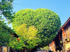 -三坊七巷历史文化街区