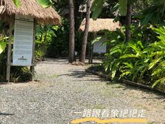 -大象粑粑造纸公园