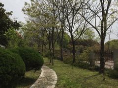 -葛仙湖公园