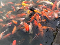 -珠海圆明新园