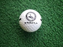 -金鸡湖高尔夫会员专属俱乐部