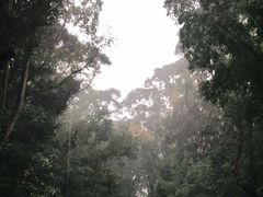 -热田神宫