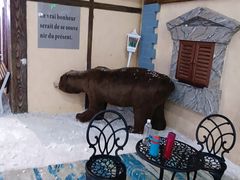 -世界之窗阿尔卑斯冰雪世界