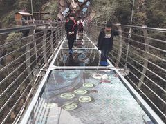 -宁波五龙潭景区