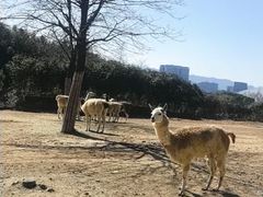 -杭州野生动物世界