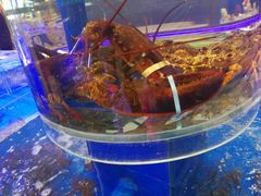 -新海渔港·胶东海鲜家常菜·家宴(奥体中心店)