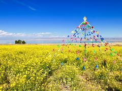 -青海湖国家重点风景名胜区