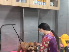 -宠福鑫康馨动物医院·骨科·眼科