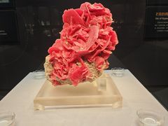 -湖南省地质博物馆