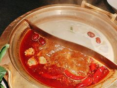 -熊喵来了火锅(四平万达第56分店)