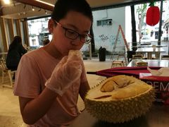 -都念榴莲·城市榴莲