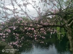 -贵阳市花溪国家城市湿地公园