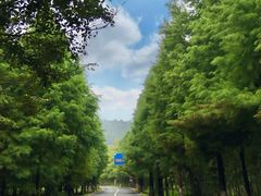 -南京市无想山景区